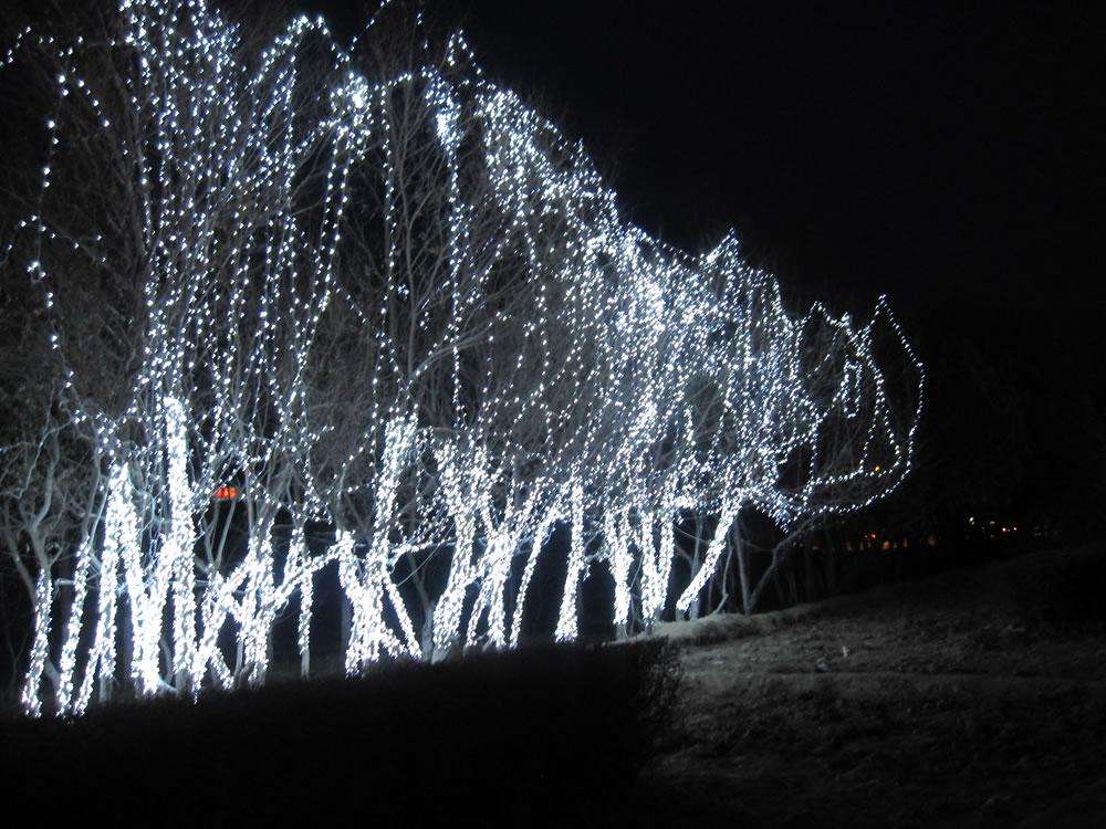 美能源部发布最新美国照明市场特征 LED渗透率超8%