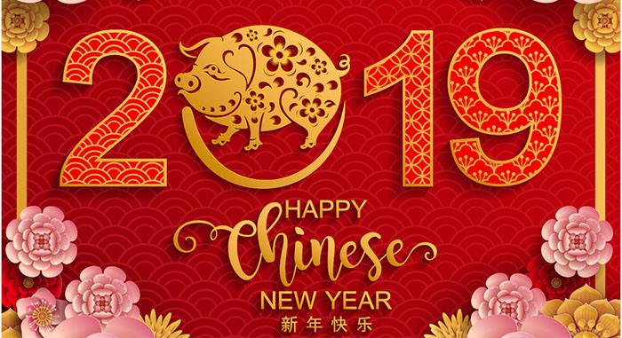 四川省正伟照明有限公司祝大家2019猪年快乐！